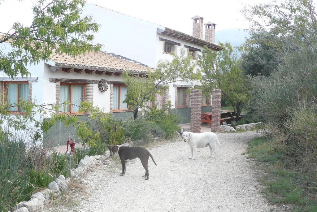 Cabanas Imagina Pension Torres  Buitenkant foto